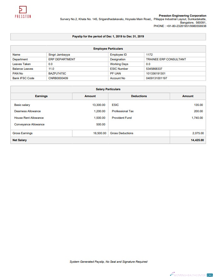 Download Presston Engineering Corporation pay stub in PDF and Word format Photoshop template